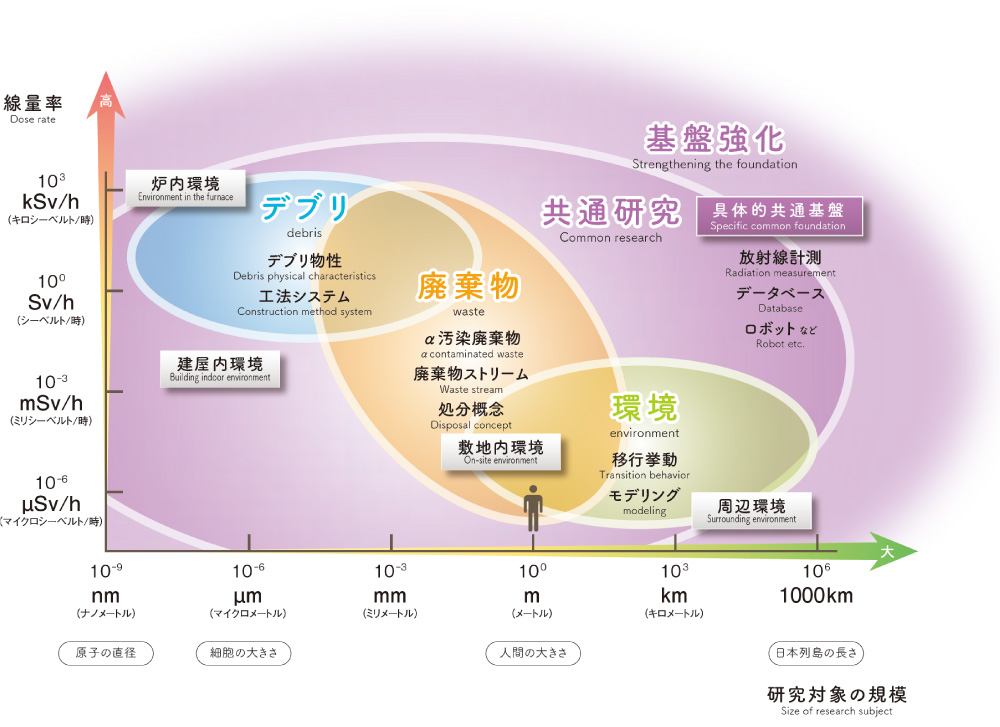 基礎・基盤研究について